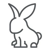 Charter Rabbit Icon