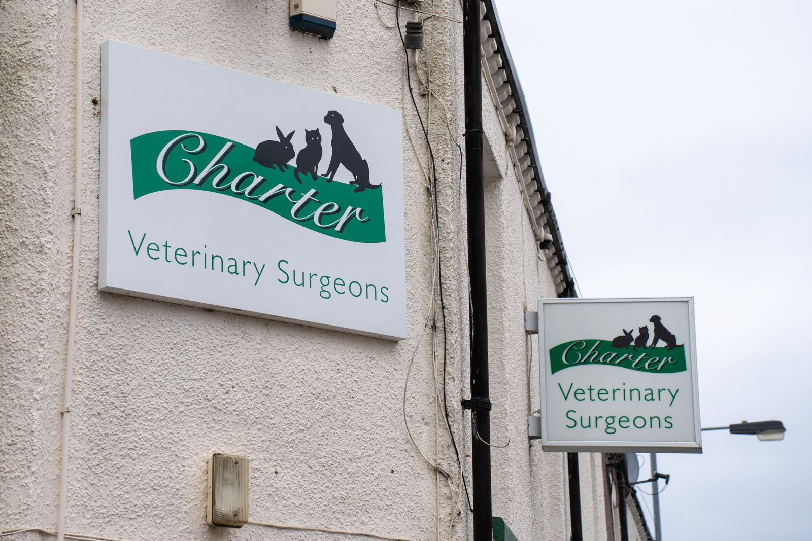 The Willows Veterinary Group - Biddulph (Web) 021